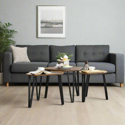 Set of 3 Rustic Brown Nesting Coffee Tables with Steel Frames - Industrial Style